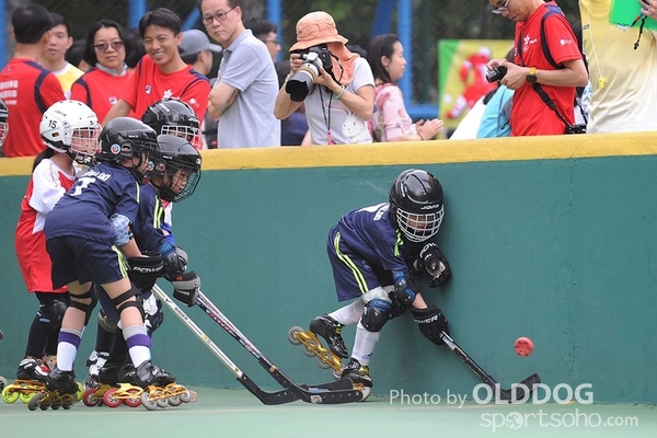 Hockey (20)