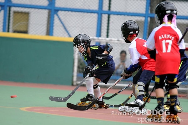 Hockey (23)