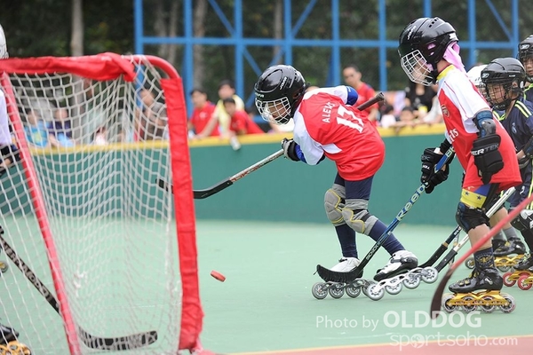 Hockey (28)