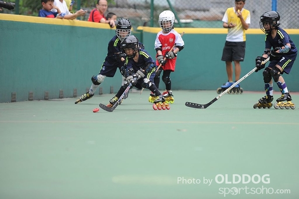 Hockey (29)