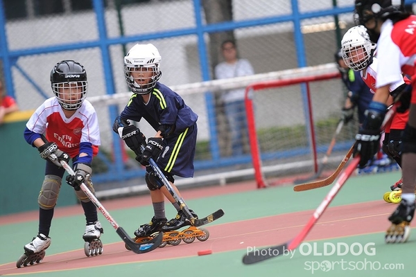 Hockey (30)