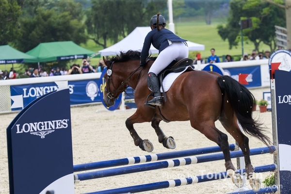 LonginesJumping_004