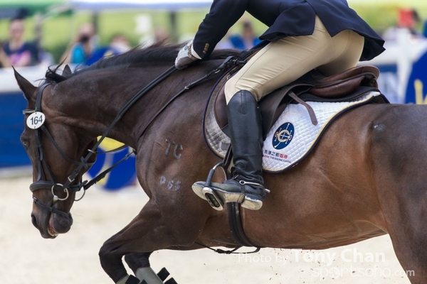LonginesJumping_011
