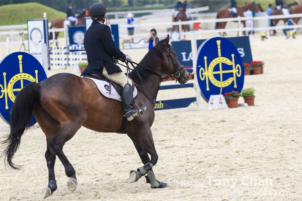 LonginesJumping_013