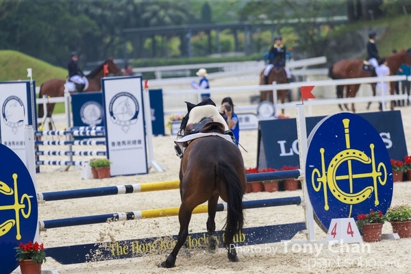 LonginesJumping_014