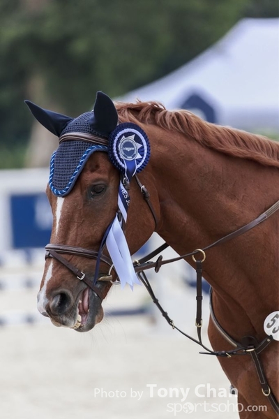 LonginesJumping_026