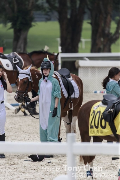 LonginesJumping_034