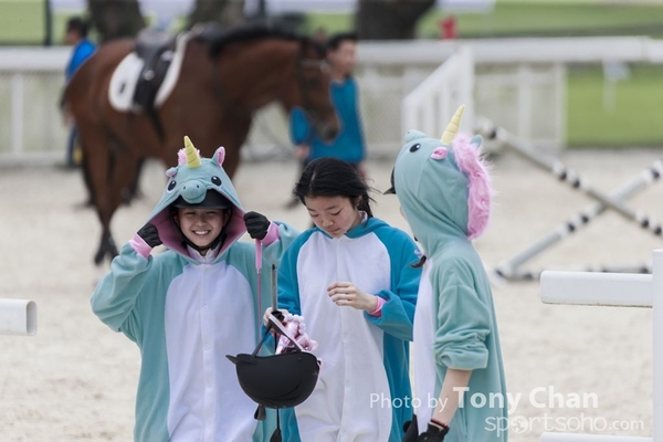 LonginesJumping_037