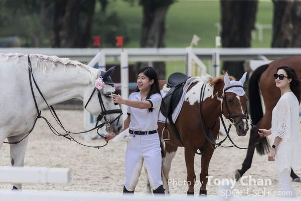 LonginesJumping_041
