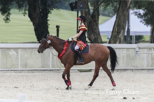LonginesJumping_055