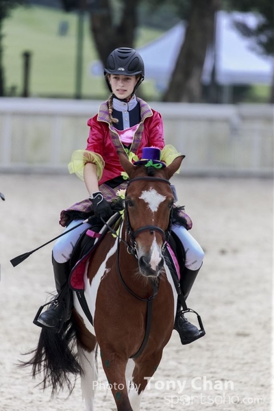 LonginesJumping_057