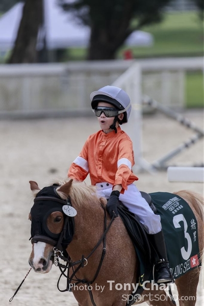 LonginesJumping_061