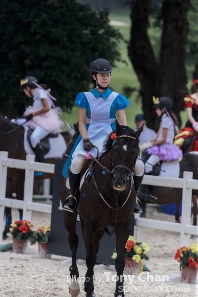 LonginesJumping_065