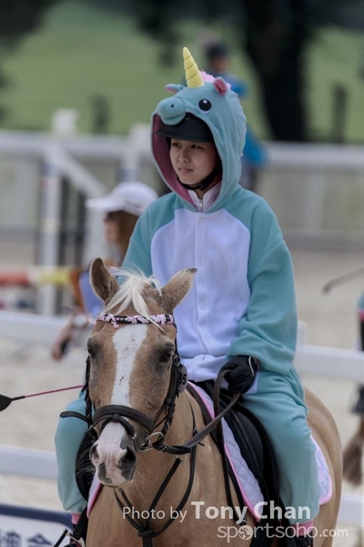 LonginesJumping_080