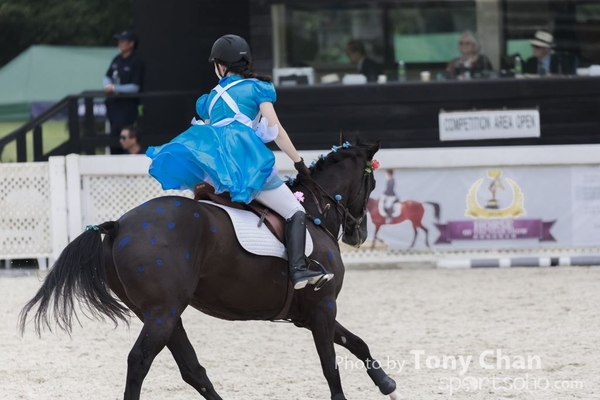 LonginesJumping_099
