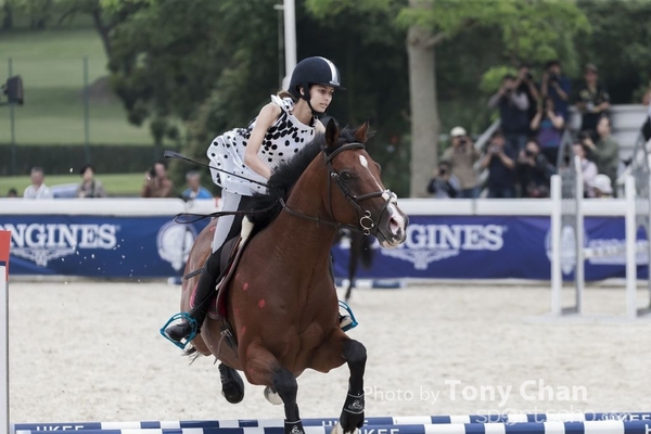 LonginesJumping_101