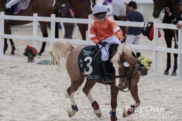 LonginesJumping_111