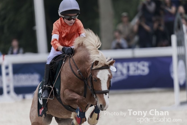 LonginesJumping_115