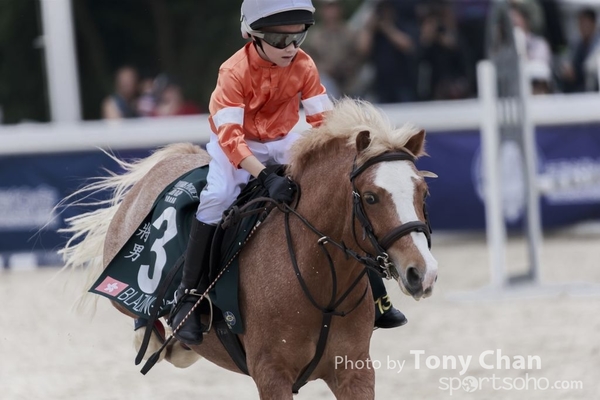 LonginesJumping_116