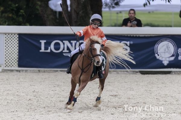 LonginesJumping_117