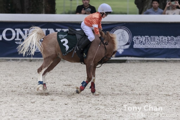 LonginesJumping_118
