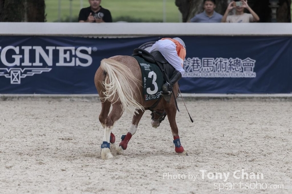 LonginesJumping_119