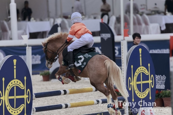 LonginesJumping_121