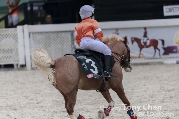 LonginesJumping_122