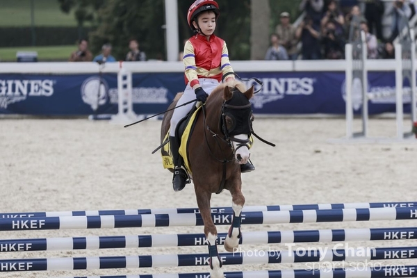 LonginesJumping_126