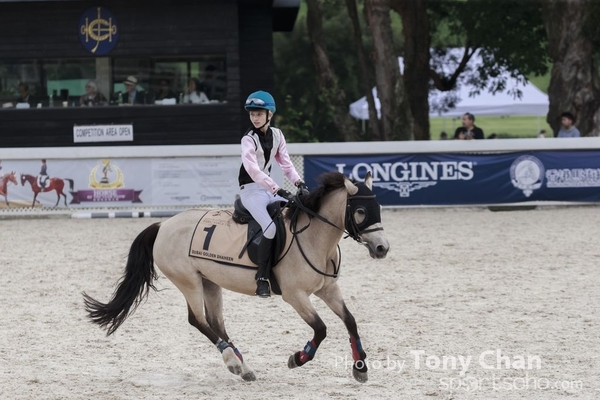 LonginesJumping_131