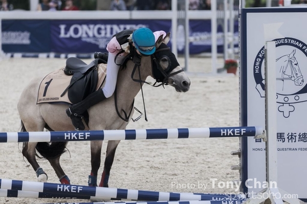 LonginesJumping_139