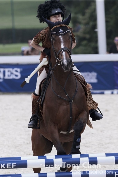 LonginesJumping_168