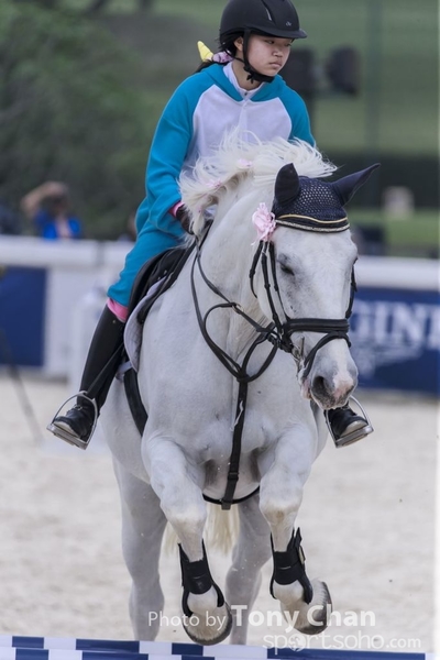 LonginesJumping_192