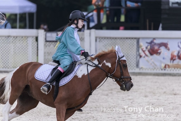 LonginesJumping_196