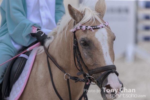 LonginesJumping_198
