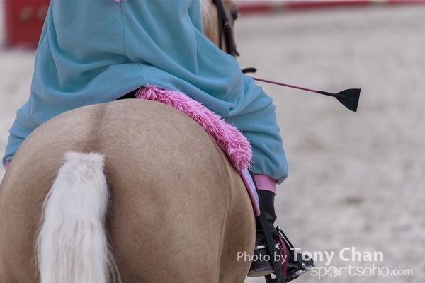 LonginesJumping_199