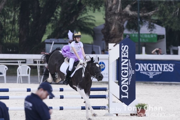 LonginesJumping_208