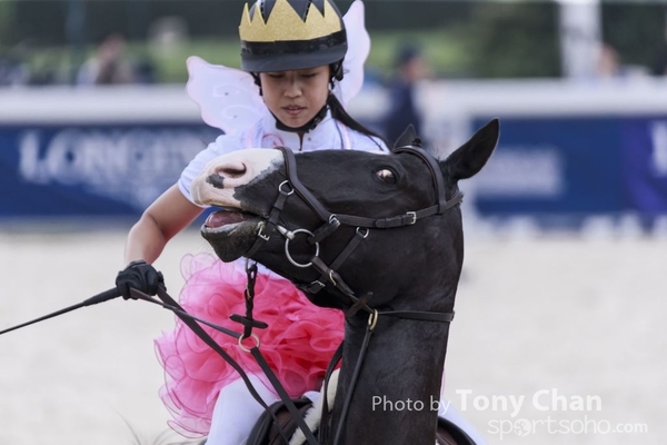 LonginesJumping_213