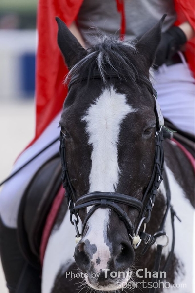 LonginesJumping_217