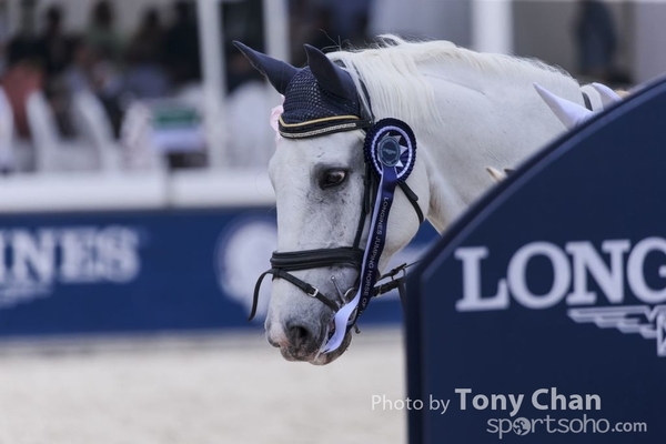 LonginesJumping_222