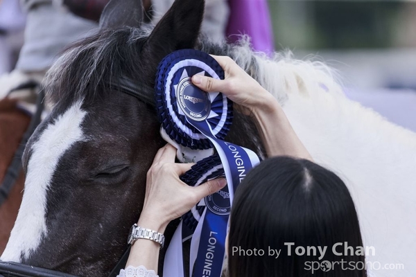 LonginesJumping_223