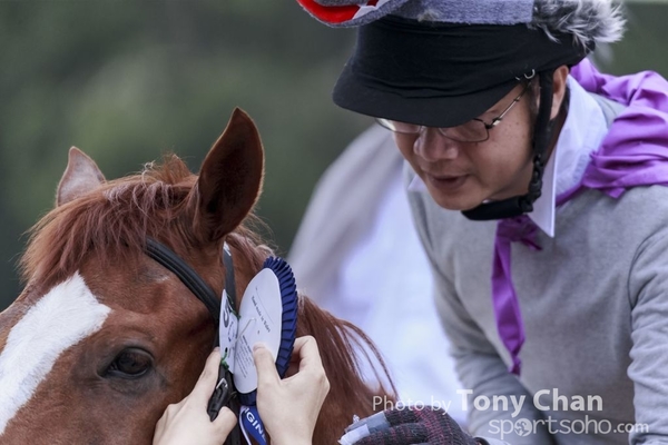 LonginesJumping_225