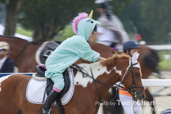 LonginesJumping_235