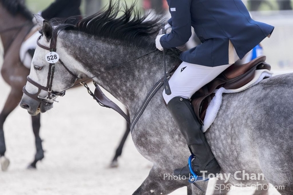 LonginesJumping_249