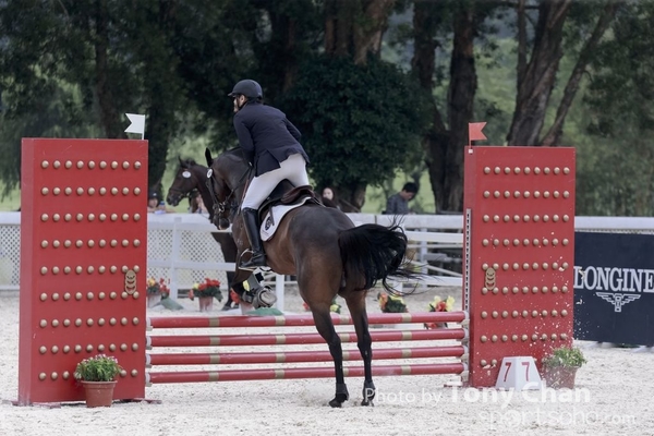 LonginesJumping_255