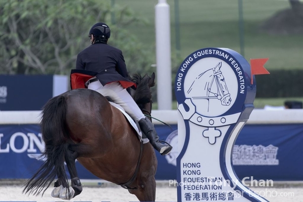 LonginesJumping_256