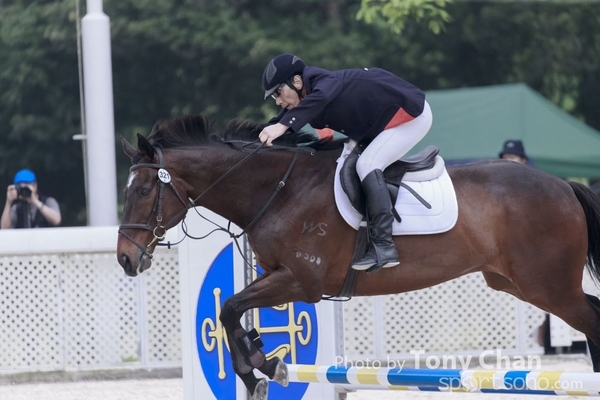 LonginesJumping_258