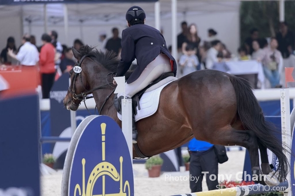 LonginesJumping_259