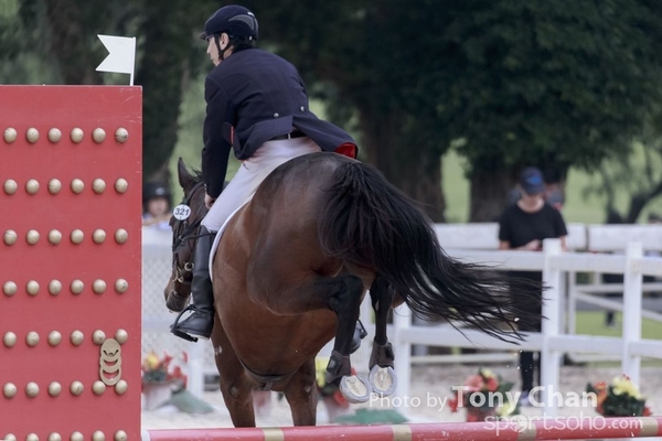 LonginesJumping_261