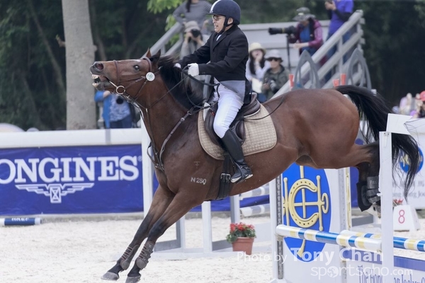 LonginesJumping_265